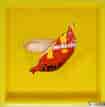McDonald's I'm​ loving it​