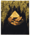The all seeing and knowing