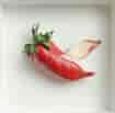I wanna be a strawberry